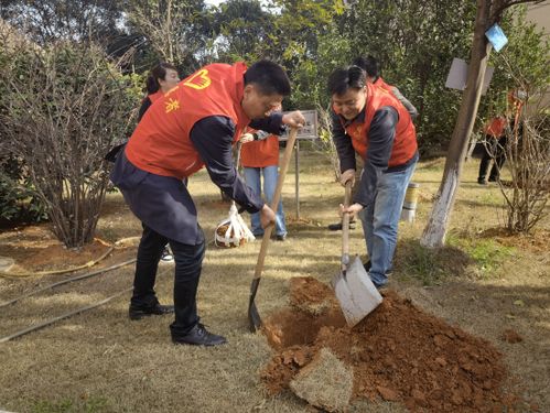 倾心为民传温暖 志愿服务暖人心