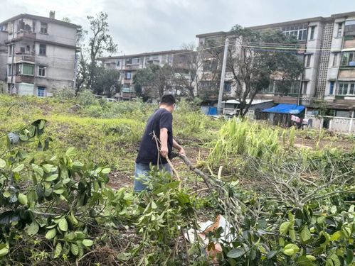 全力以 复 建行积极支持台风 摩羯 灾后重建