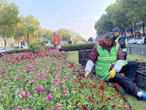 园林冬季养护 套餐 让这个冬天 暖暖 的